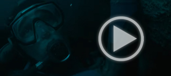 Ve el trailer de la pel�cula